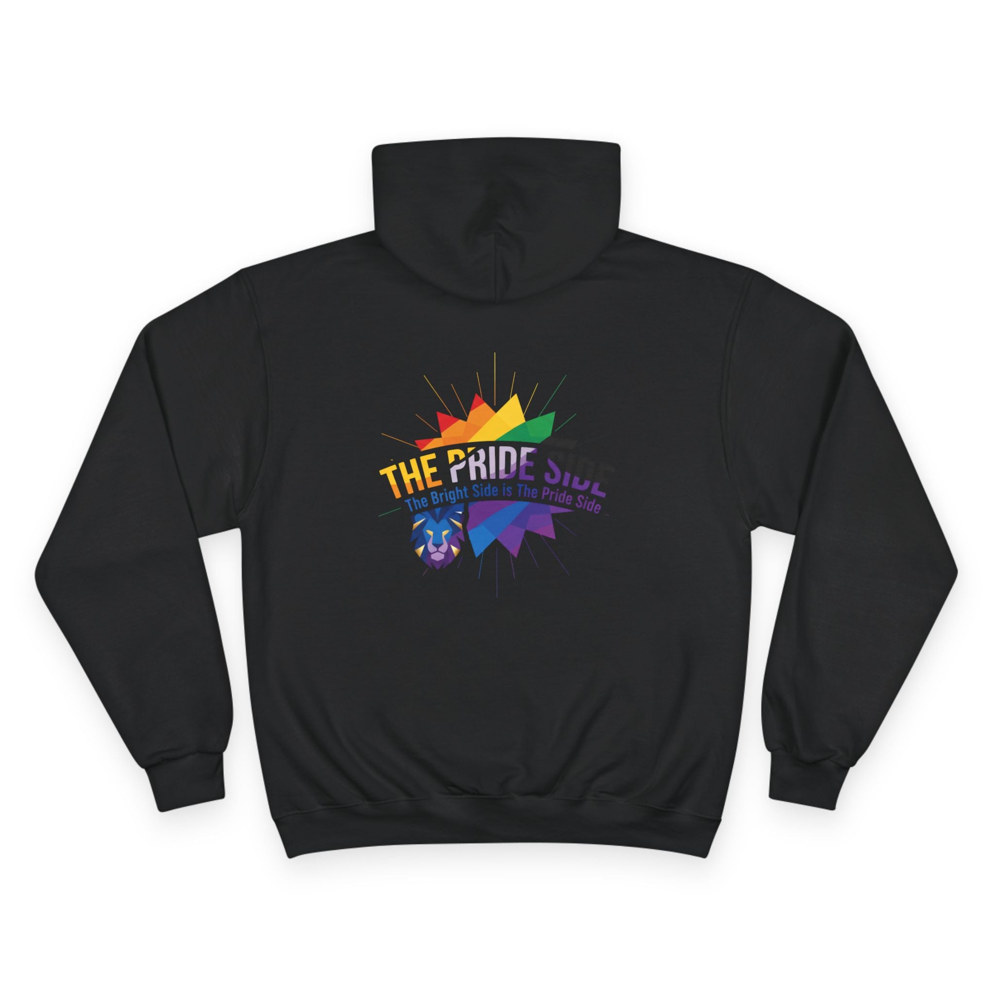 Pride Celebration Hoodie, LGBTQ+ Apparel, Rainbow Hoodie, Unique Gift, Comfortable Streetwear, Festival Wear, Casual Style